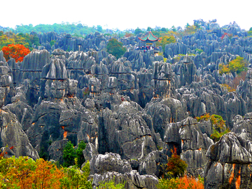 Кам'яний ліс Шилін в Китаї