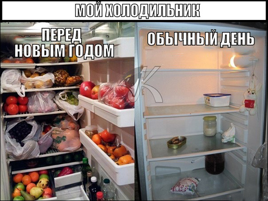 Жизнь холодильника в Новый год и обычный день