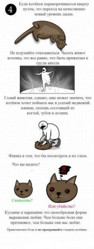 Как ласкать котенка