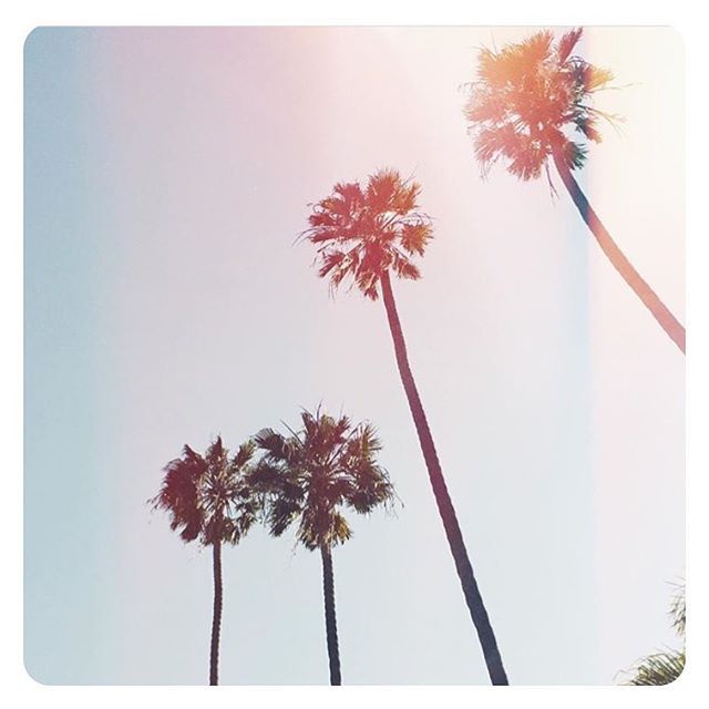 Меган Маркл и принц Гарри