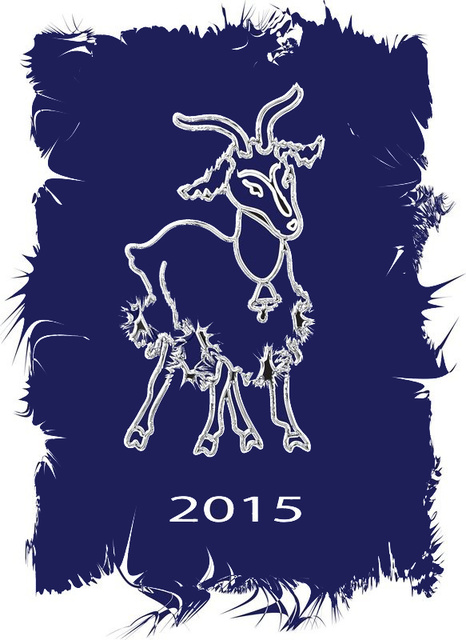 Милая овечка и Новый год 2015