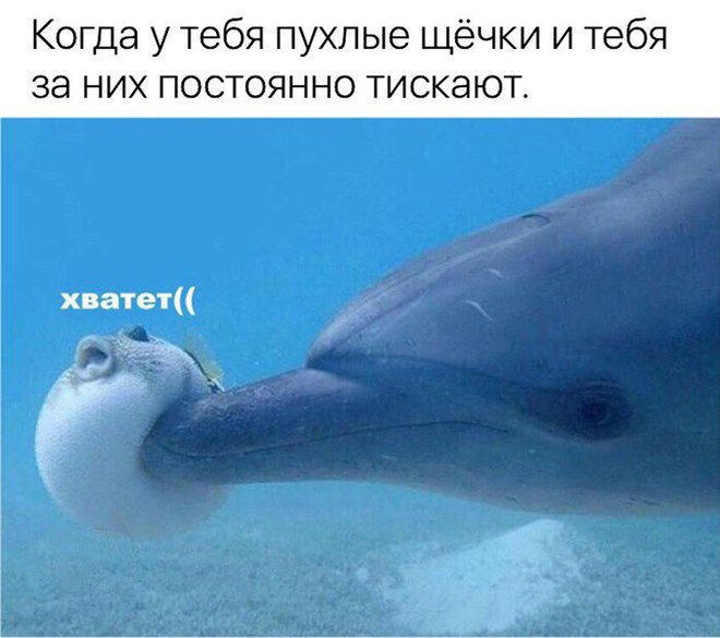 Миссия выполнима: потискать щечки