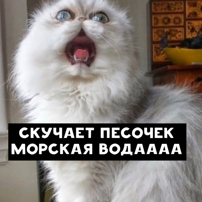 Песенка про лето