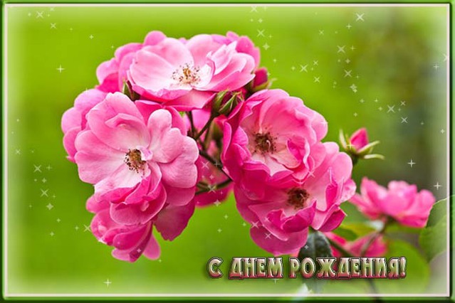 С Днём Рождения