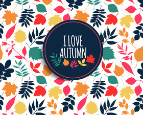 Куда пойти в Киеве в выходные: 27 - 29 октября