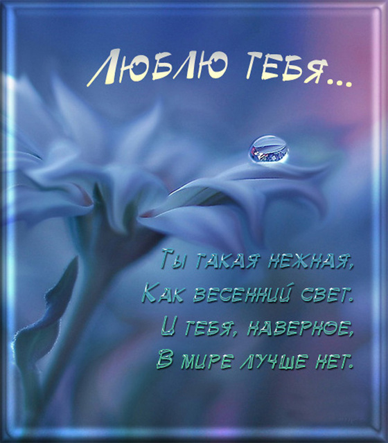 Люблю тебя...