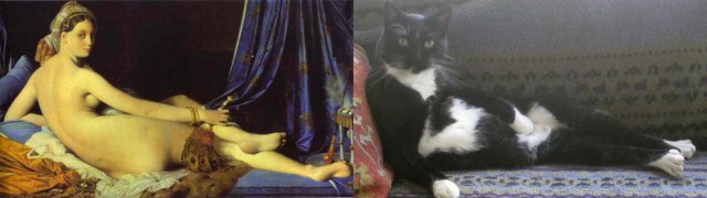 Котики в искусстве