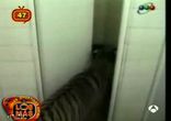 Пркол с туалетом