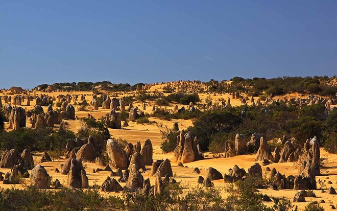 Золоті піски Австралії: пустеля Піннаклс