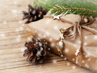 Шишки и подарок