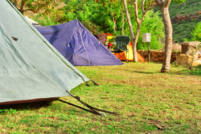 Відпочинок з дітьми в Карпатах