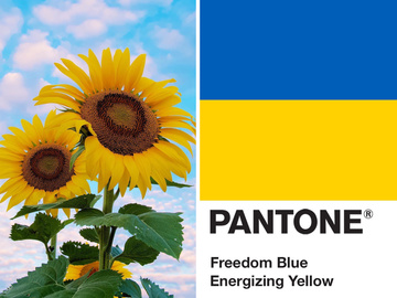 Pantone посвятил цвета украинскому флагу