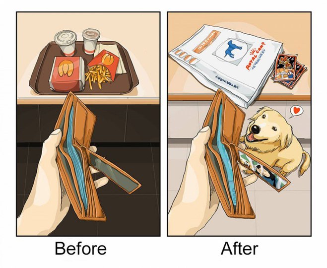 Как собака меняет твою жизнь