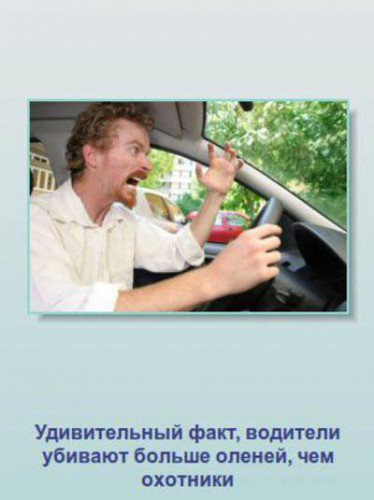 Неизвестные факты о животных