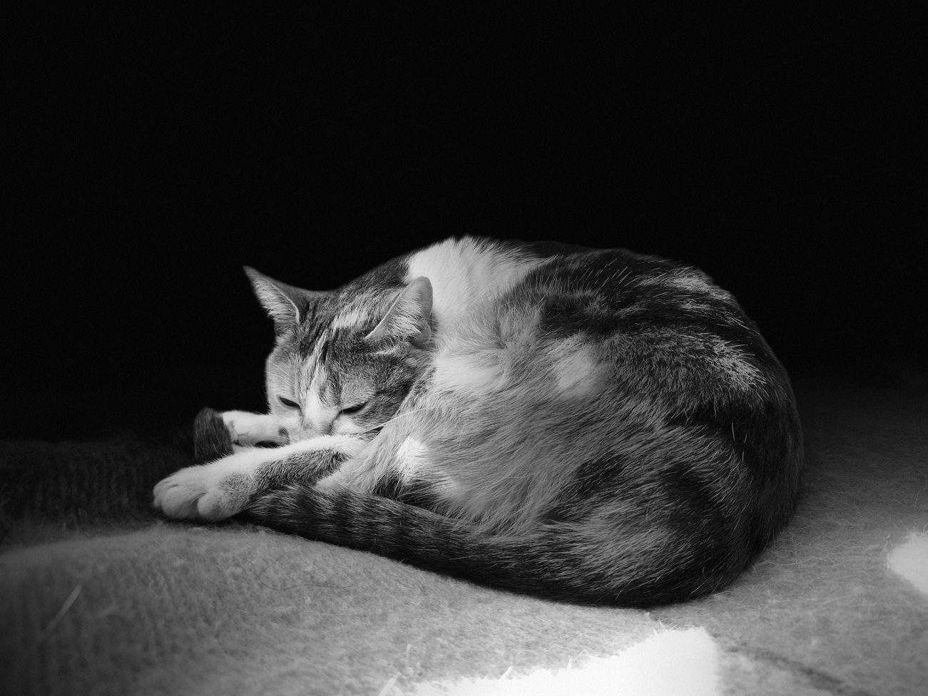 samsung galaxy s22 обзор