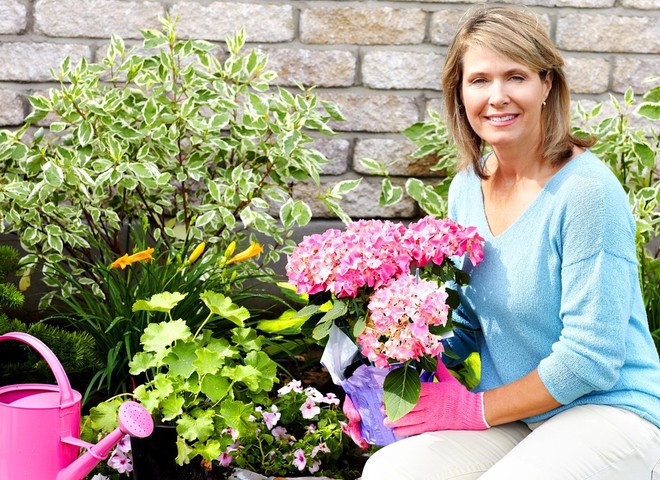 Як полити квіти, Догляд за кімнатними рослинами