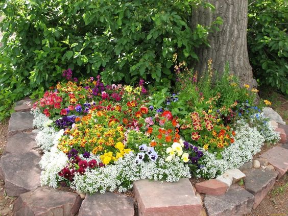 Як прикрасити клумбу