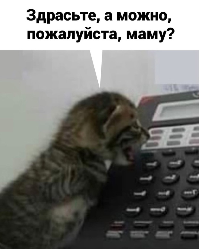 Я, мама и работа