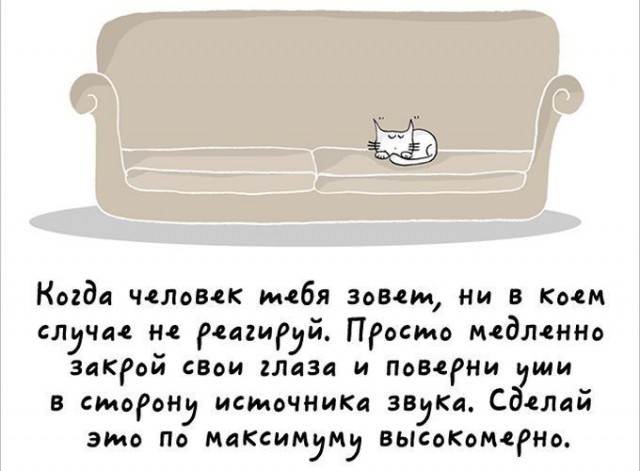 Прикольный комикс "Как быть котом"
