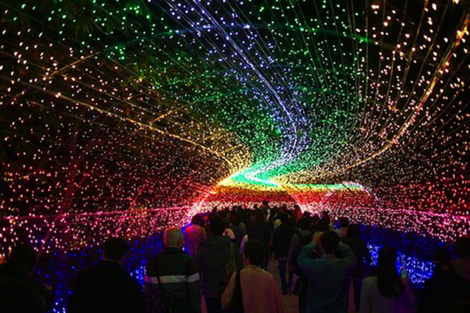 Фестивали февраля: цветы из льда в Японии