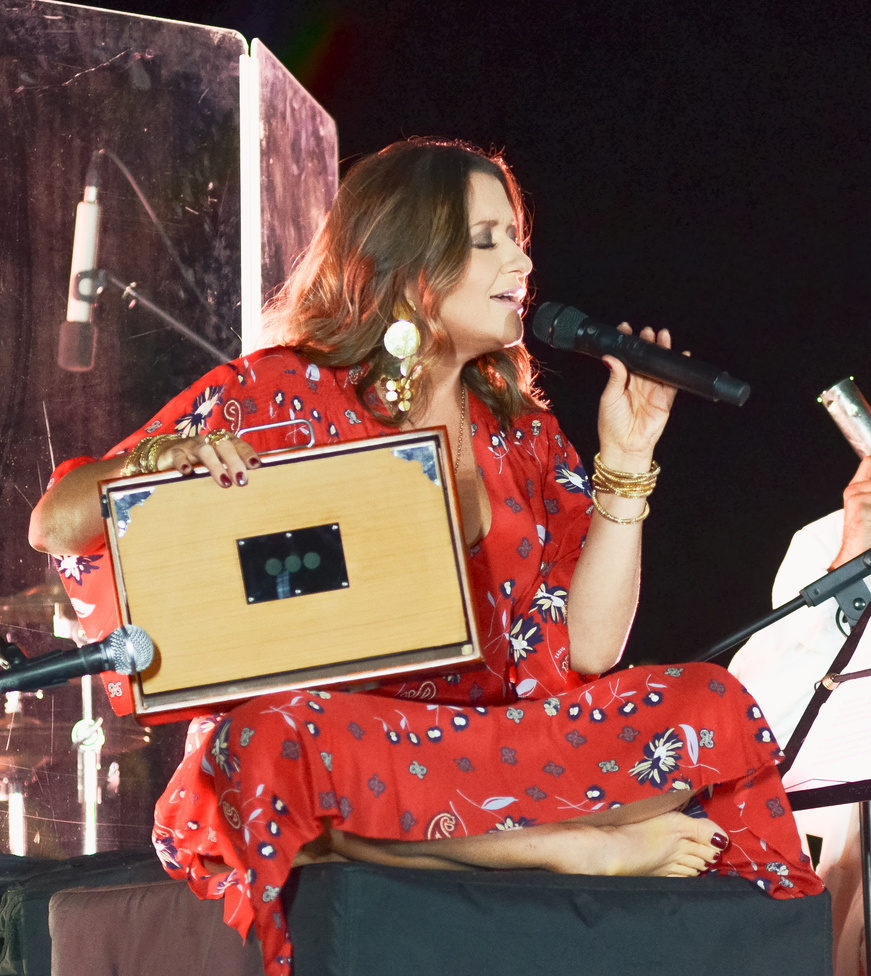 "Покохала": як пройшов благодійний концерт Наталії Могилевської