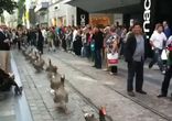 В Европе уже есть все парады - теперь и гусиный)
