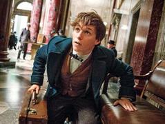 Фантастические звери и места их обитания