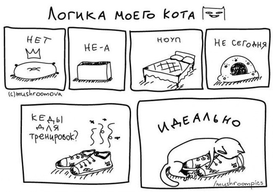 Милые комиксы про котов