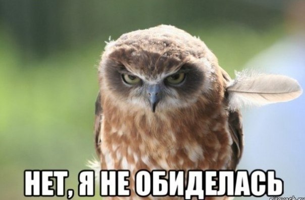 Разговор с любимой