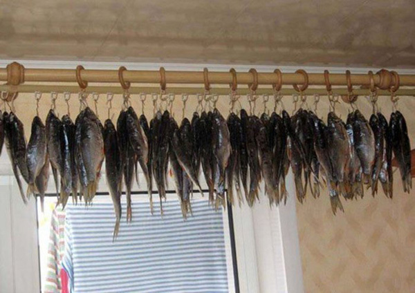 Всё нормально! Это Россия