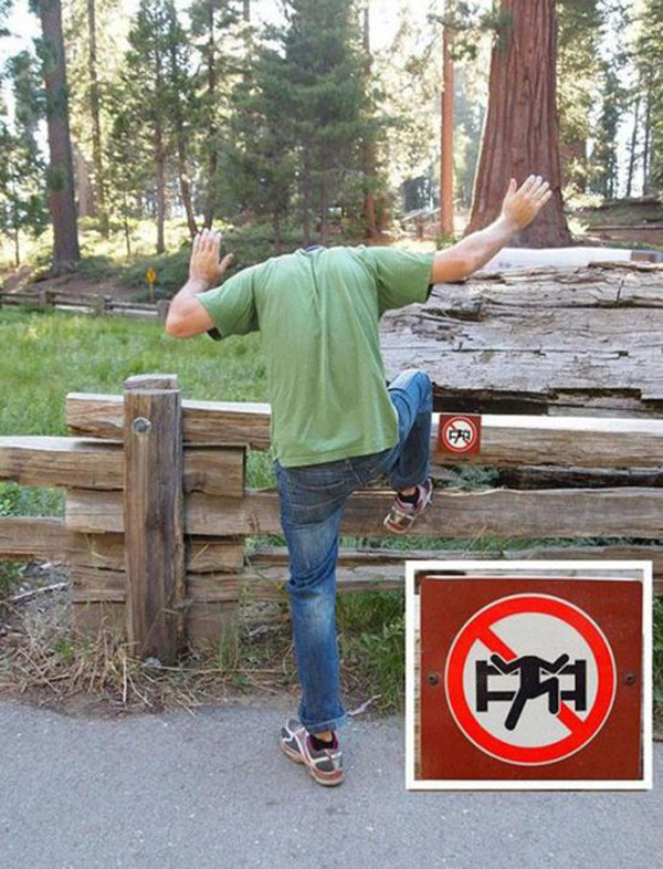 Бунтарщики