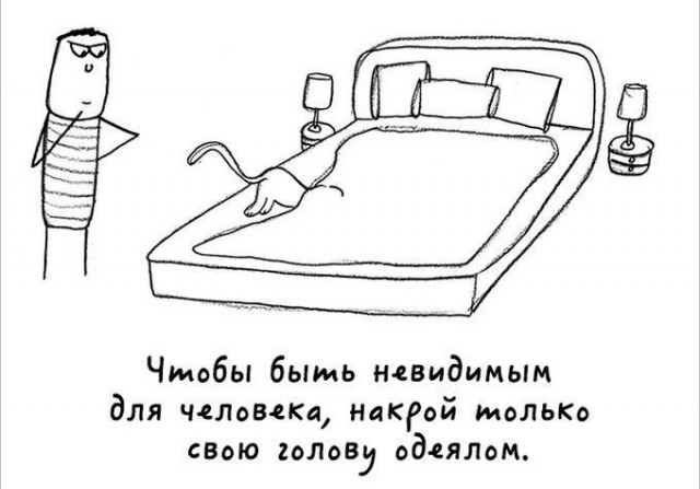 Милый комикс про котов