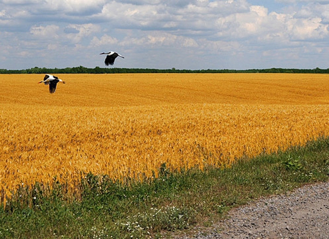 Конкурс фотопреміі "України, яку ми любимо"