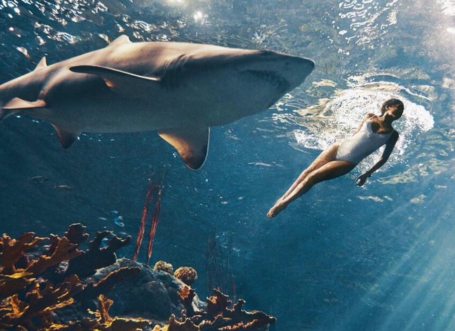 Рианна поплавала с акулами для Harper's Bazaar