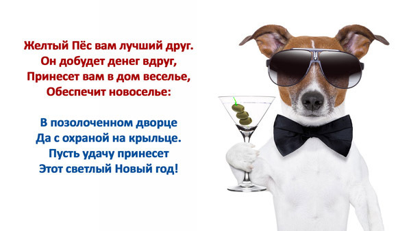 Пожелания на Новый год собаки