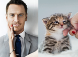 Des Hommes et des Chatons Des Hommes et des Chatons