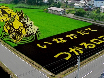 Рисовое искусство Японии