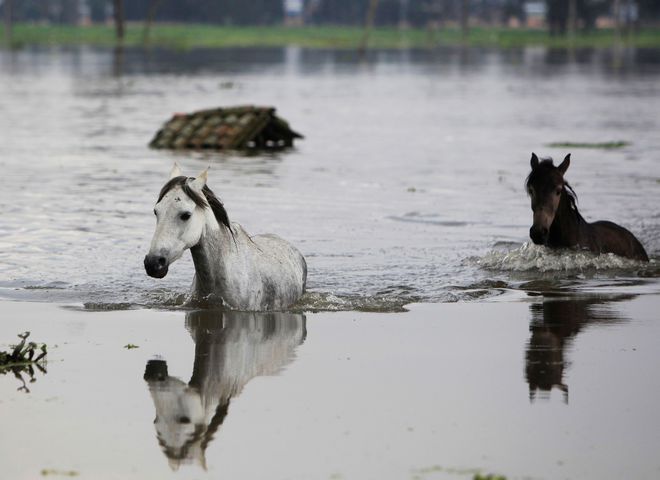 Наводнение в Колумбии