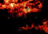 Трейлер, фильм ужасов, Хранители черепов