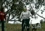 old-lady-crash