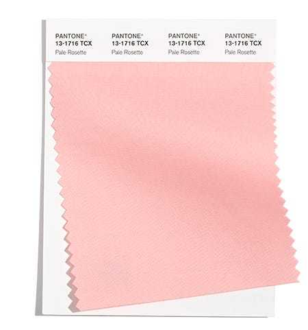 PANTONE 13-1716 Pale Rosette