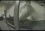 Беговые дорожки