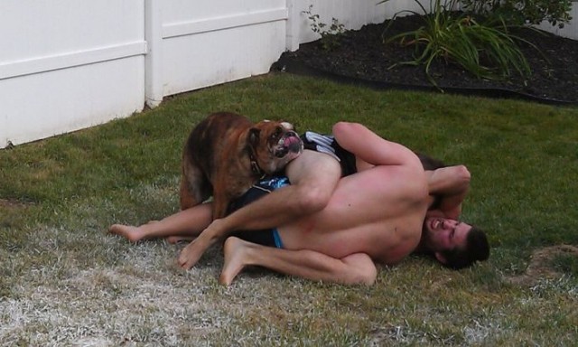 Подборка смешных собак