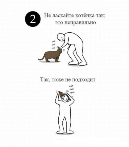 Как ласкать котенка