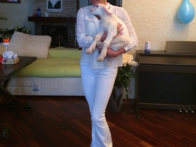 Анастасия Волочкова и козел