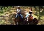 Stephen Wesley - Cowgirl