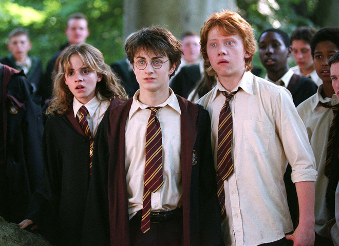 Фанатские теории о Гарри Поттере