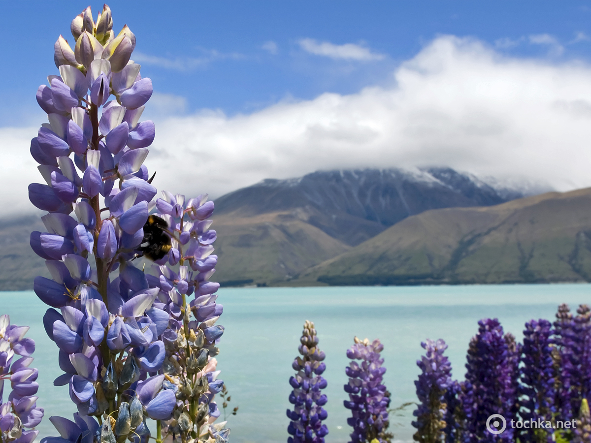 Озеро Пукаки