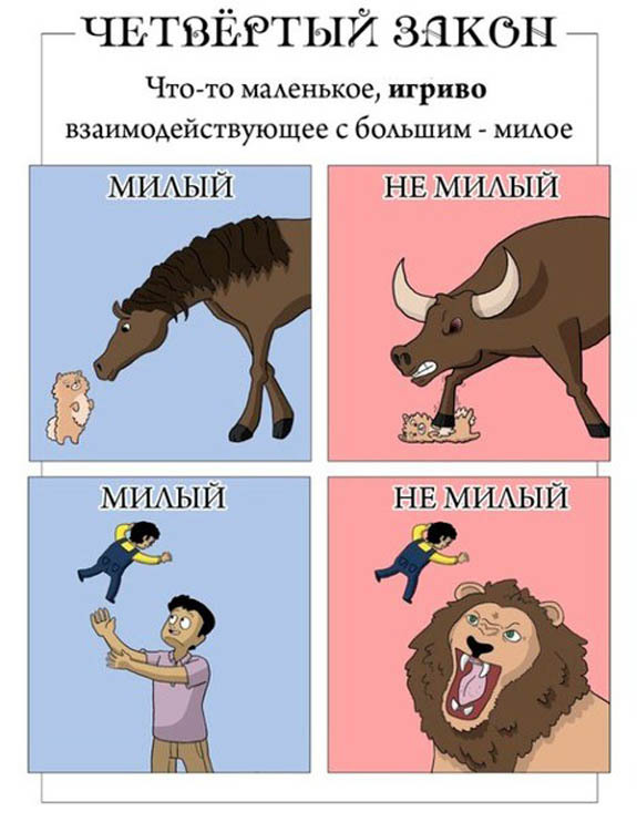 6 законов мимимишности