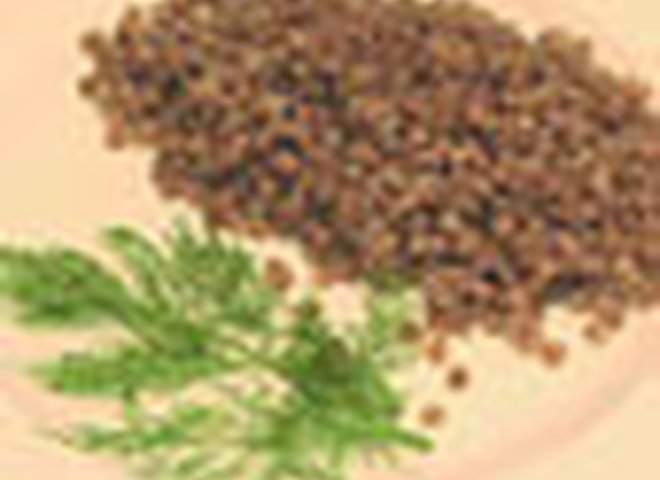 на гречке можно сбросить до 10 кг за неделю